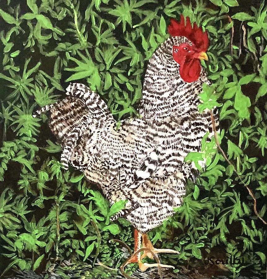 Plymouth Rock Rooster 2 Painting by Judith Scull