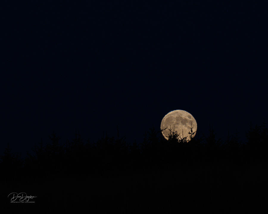 PNW Moonrise Photograph by Dave Diegelman