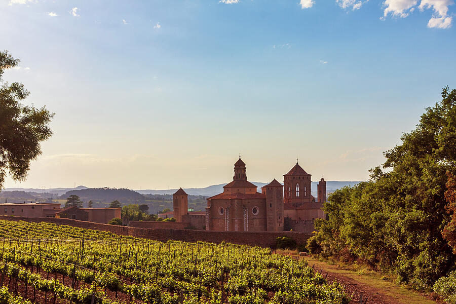 Poblet Monastery and landscape, Catalonia, Spain Photograph by Tatiana Travelways