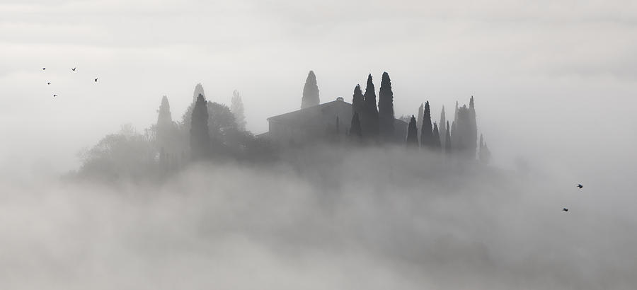 Podere Belvedere Fog Photograph