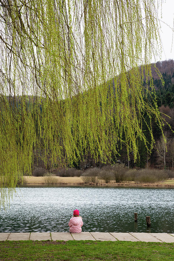 Podpec Lake on the Ljubljana Moors Photograph by Ian Middleton