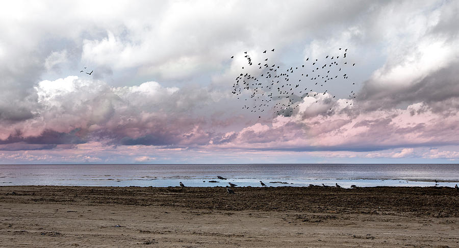Poetic Beach Vibes Jurmala Photograph by Aleksandrs Drozdovs