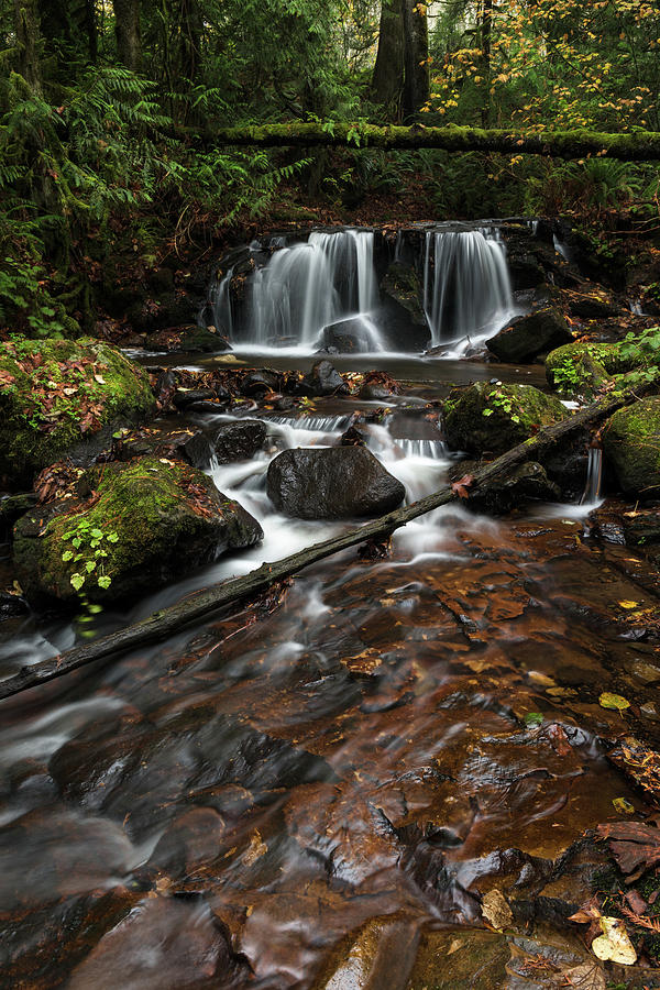 Poignant Creek Waterfall Photograph by Michael Russell