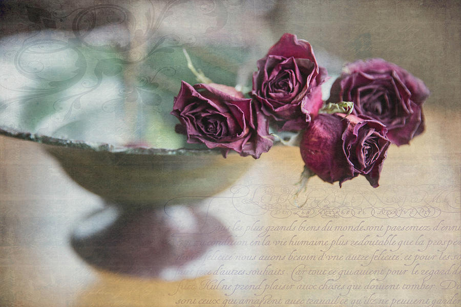 Rose Photograph - Poignant Memories Dried Roses Still Life Photo with Digital Artwork by Nancy Jacobson
