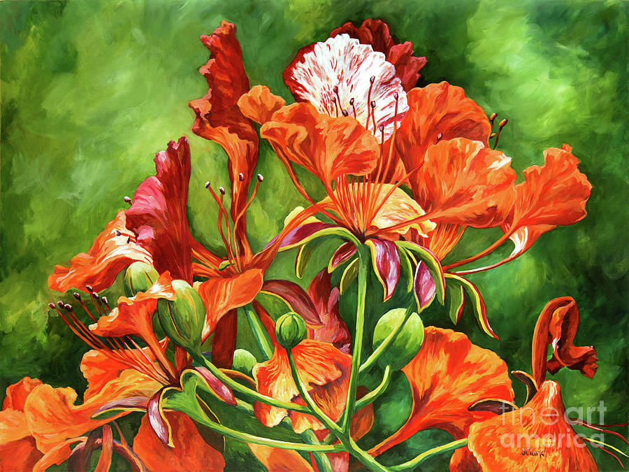 Red Tree Painting - Poinciana in Detail by John Clark