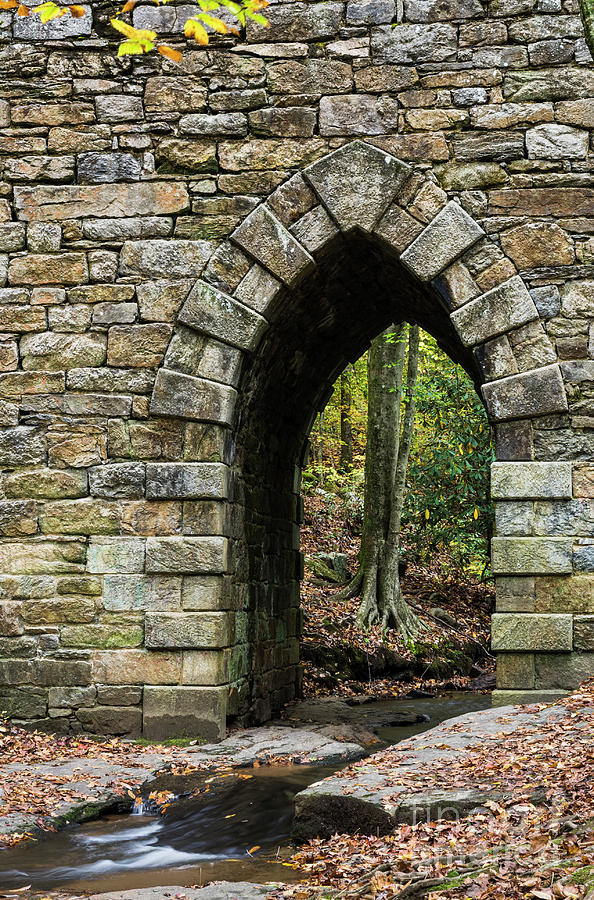 Architecture Photograph - Poinsett Bridge with Gothic Arch of Stone by John Arnaldi