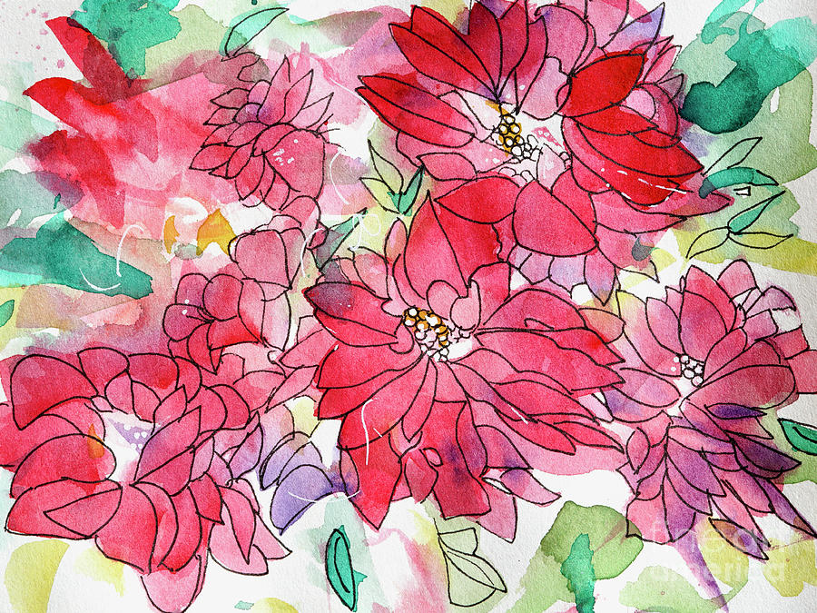 Poinsettia 1- watercolor ink Painting by Patty Donoghue - Pixels