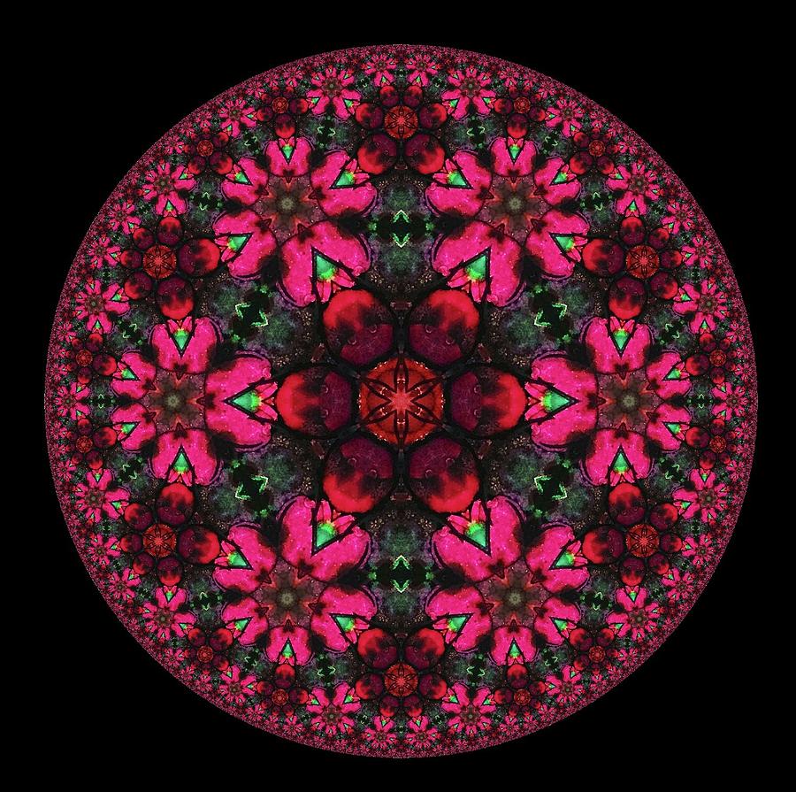 Poinsettia Abstract Kaleidoscope Series 131 Mixed Media by Eileen Backman