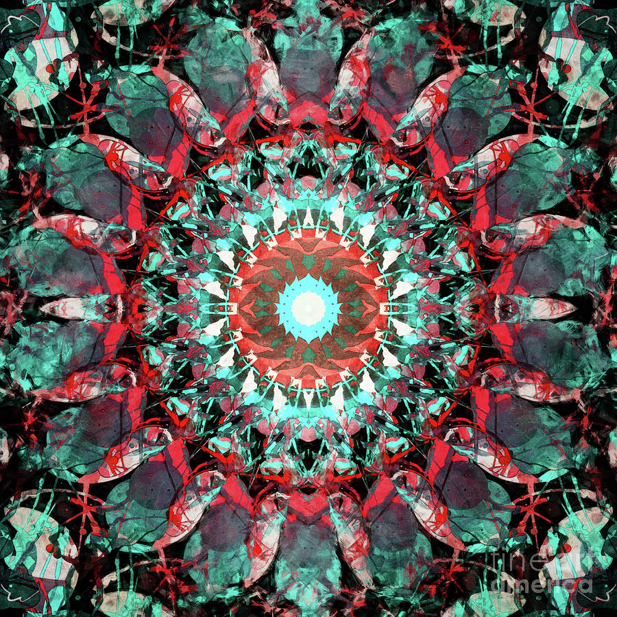 Poinsettia Abstract Digital Art by Phil Perkins