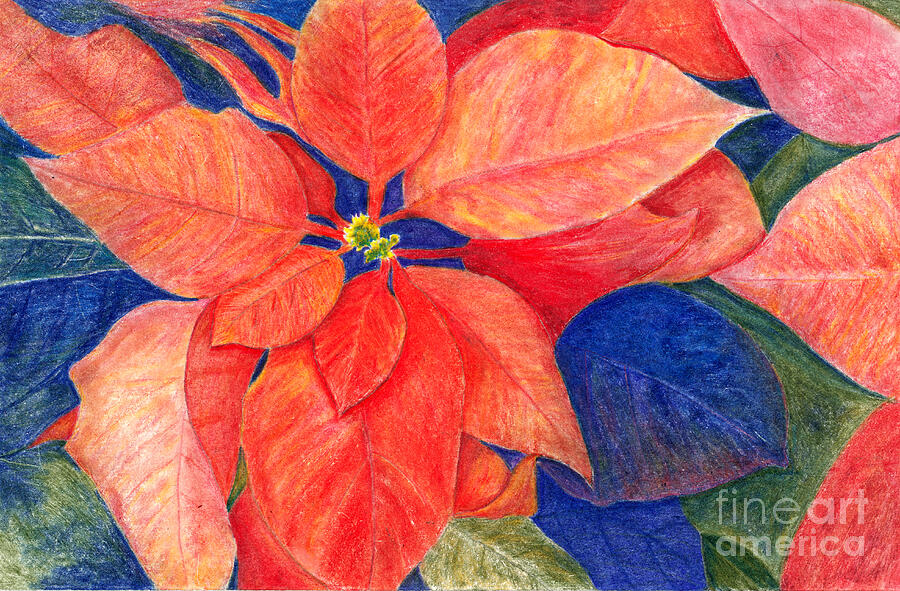 Poinsettia in Orange Red Painting by Conni Schaftenaar
