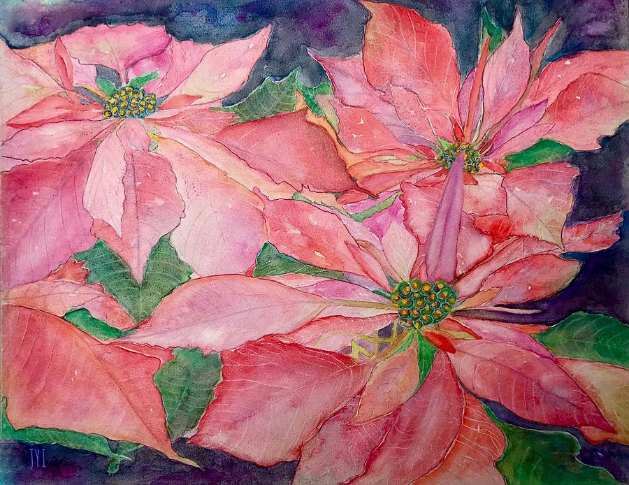 Poinsettia  Painting by Janet Immordino