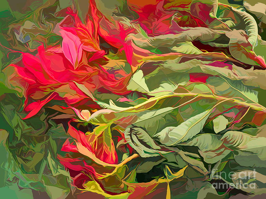 Poinsettia Leaves Abstract Photograph by Gary Richards