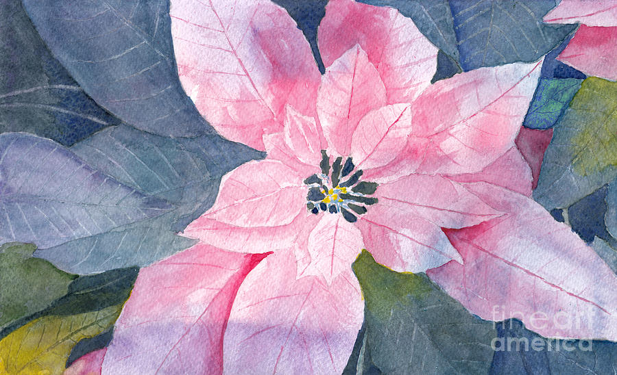 Poinsettia Watercolor Negative Painting Painting by Conni Schaftenaar