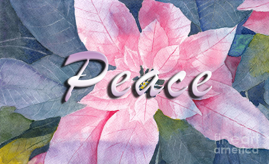 Poinsettia Watercolor with Peace Message Digital Art by Conni Schaftenaar