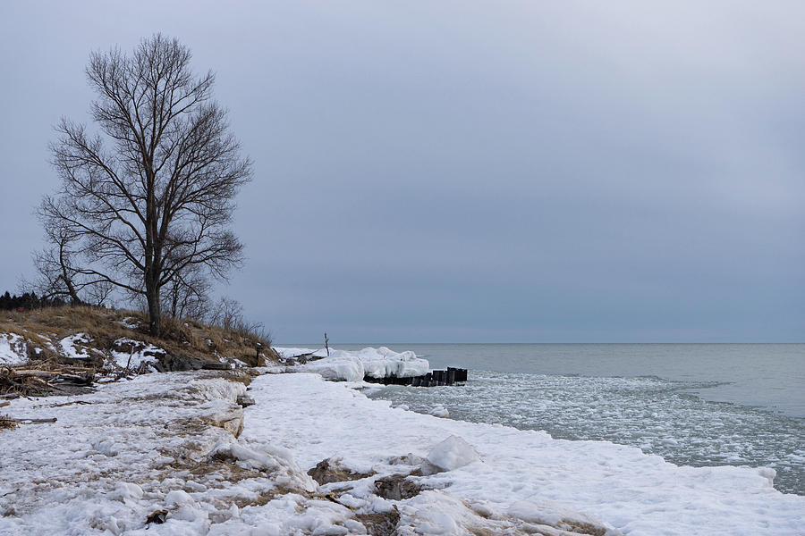 Point Betsie Lighthouse Beach In Winter Photograph By Guillermo Lizondo 