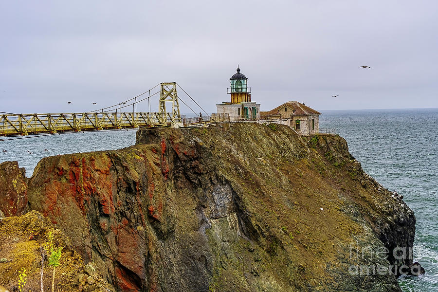 Point Bonita Lighthouse Photograph by Nick Zelinsky Jr