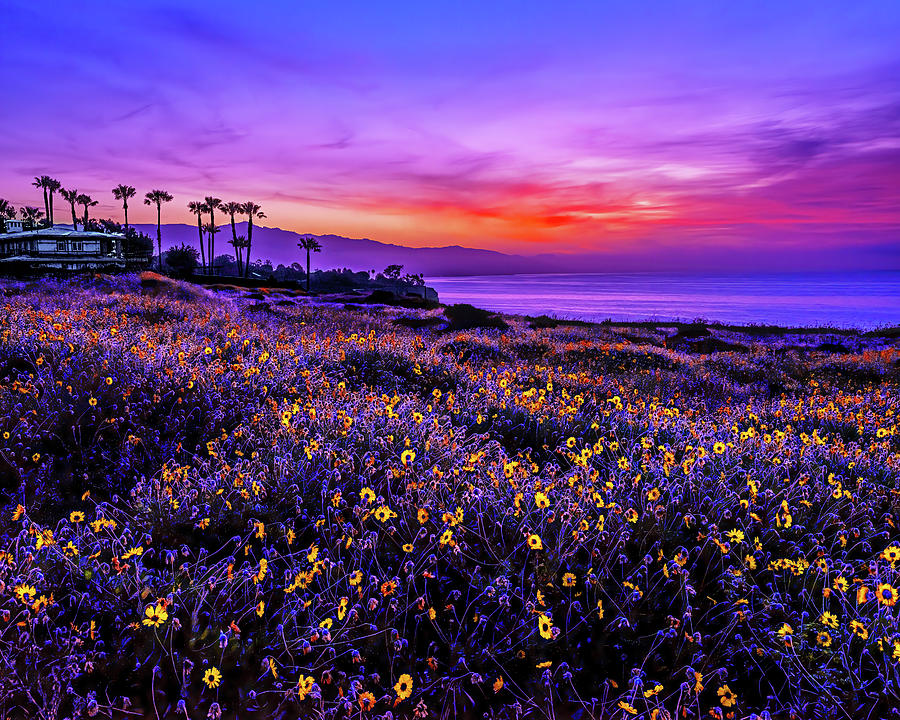 Point Dume Sunrise, California Photograph by Don Schimmel