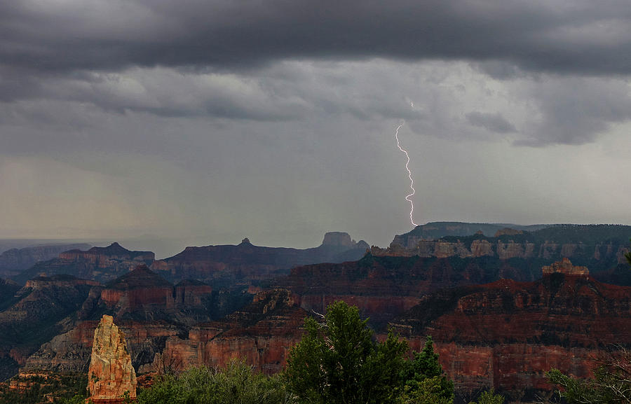 Point Imperial Lightning, Grand Canyon North Rim Photograph by Dawn Richards