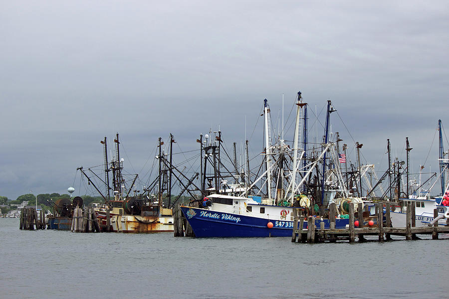 Point Judith Fishing Boats Photograph by Sue Feldberg