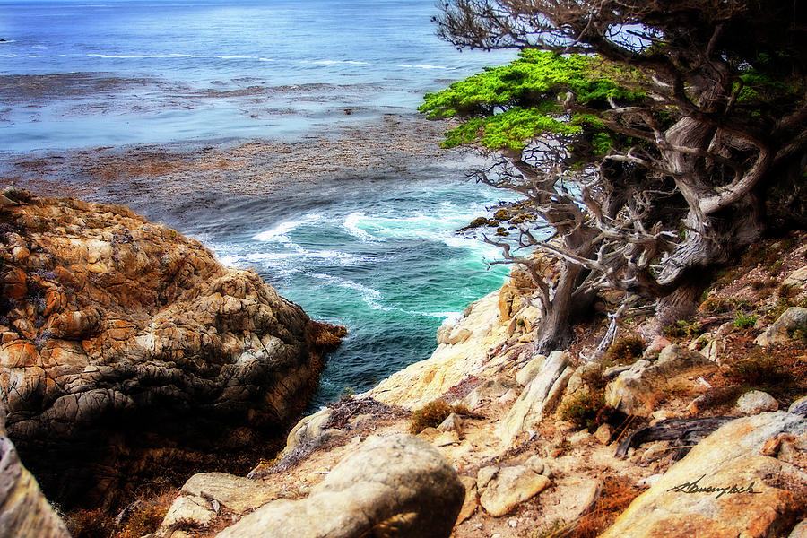 Point Lobos Coast Photograph by Alan Hausenflock
