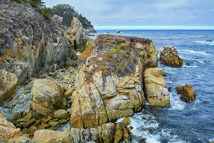 Point Lobos Photograph by Kyle Hanson