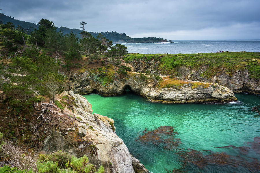 Point Lobos Natural Photograph by Jon Bilous - Fine Art America