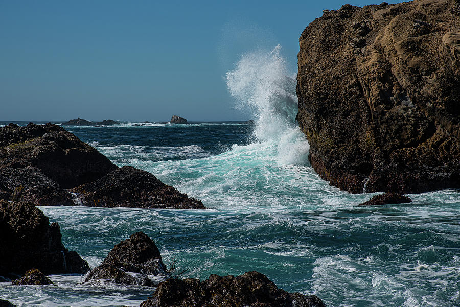 Point Lobos Rocks Photograph by Lynn Thomas Amber