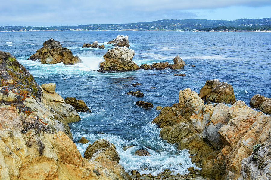 Point Lobos State Marine Reserve Photograph by Kyle Hanson