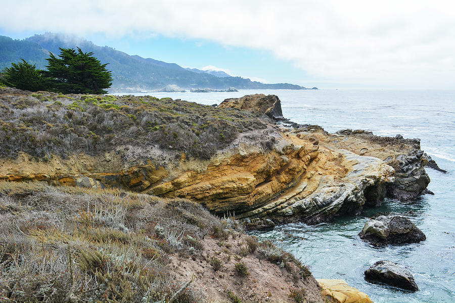 Point Lobos State Natural Reserve Photograph by Kyle Hanson