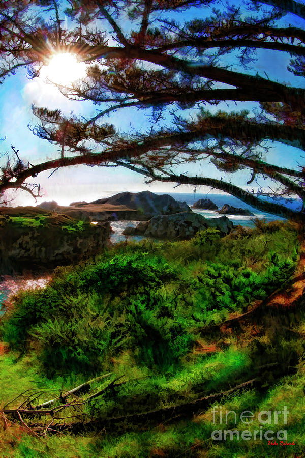 Point Lobos State Natural Reserve Sun Though Trees Photograph by Blake Richards