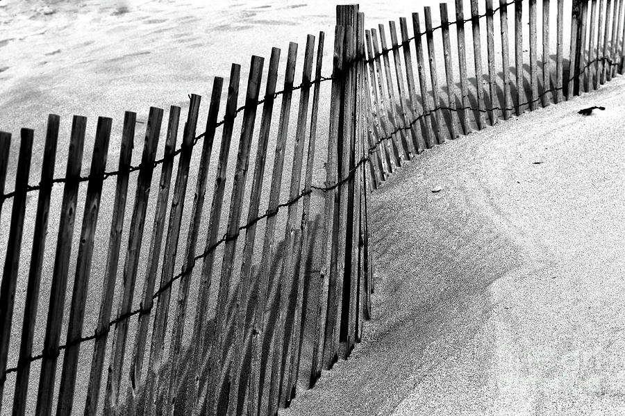 Point Pleasant Dune Fence in New Jersey Photograph by John Rizzuto