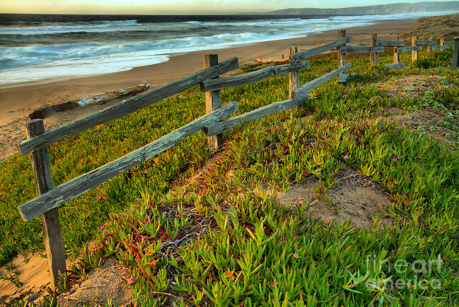 Point Reyes Beach Fence Sunset Photograph by Adam Jewell