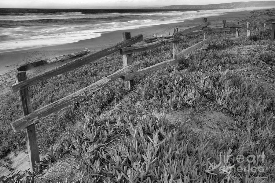Point Reyes Beach Fence Sunset Black And White Photograph by Adam Jewell