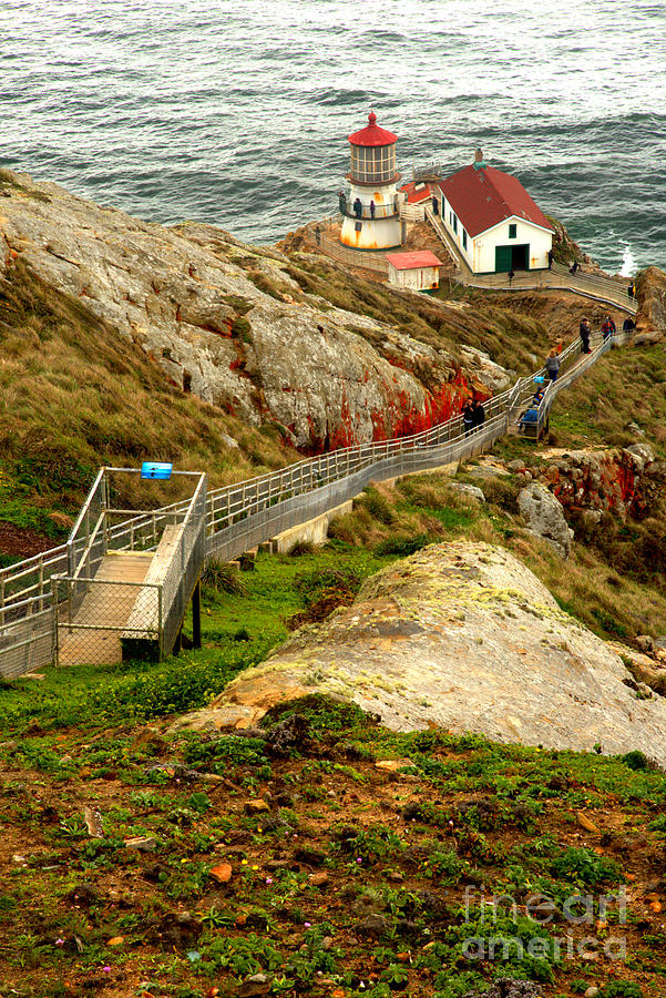 Point Reyes Lighthouse Climb Photograph by Adam Jewell