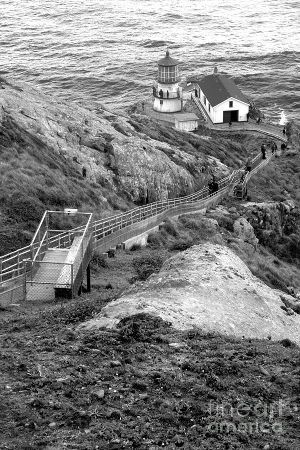 Point Reyes Lighthouse Climb Black And White Photograph by Adam Jewell