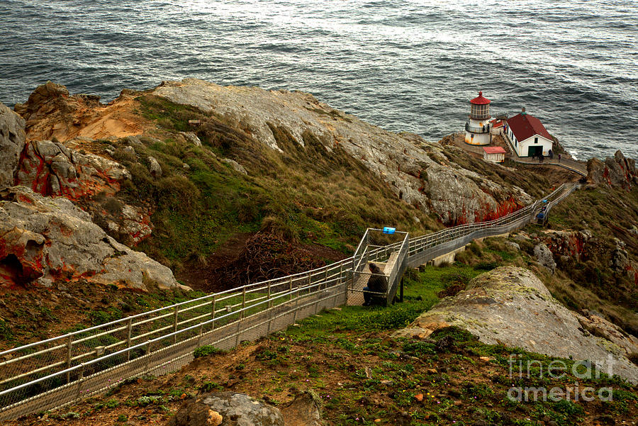 Point Reyes Lighthouse Spring Landsape Photograph by Adam Jewell