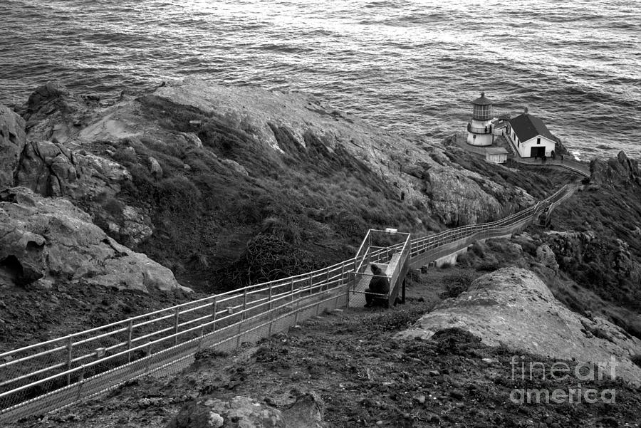 Point Reyes Lighthouse Spring Landscape Black And White Photograph by Adam Jewell