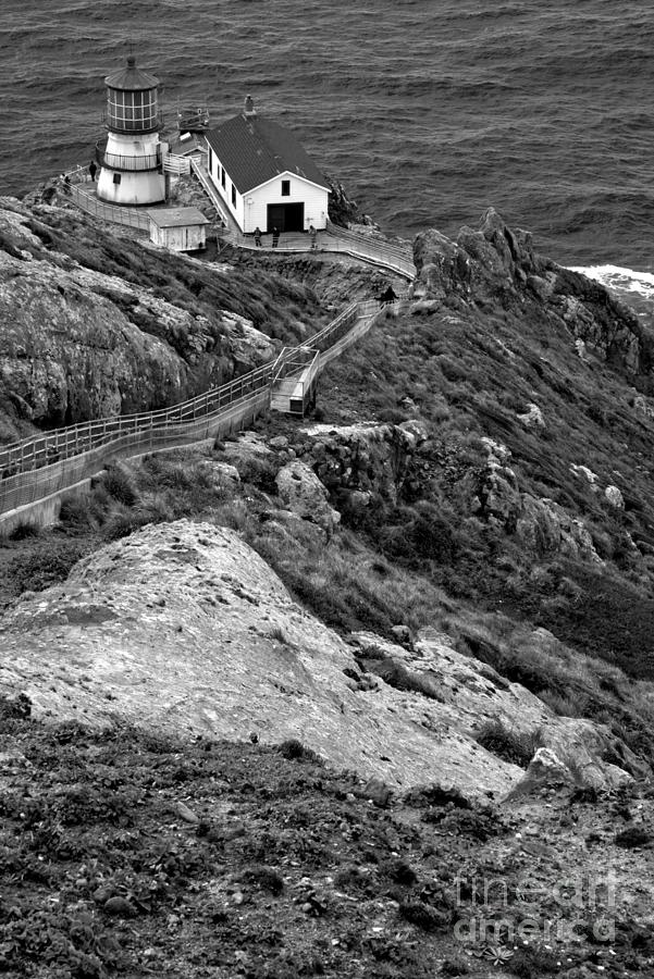 Point Reyes Lighthouse Spring Portrait Black And White Photograph by Adam Jewell