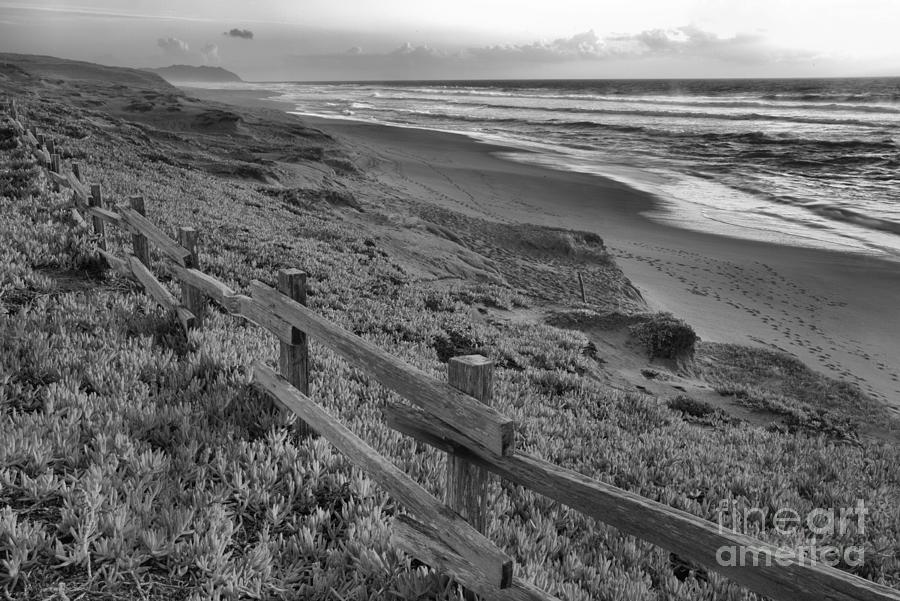 Point Reyes Marin County Spring Sunset Black And White Photograph by Adam Jewell