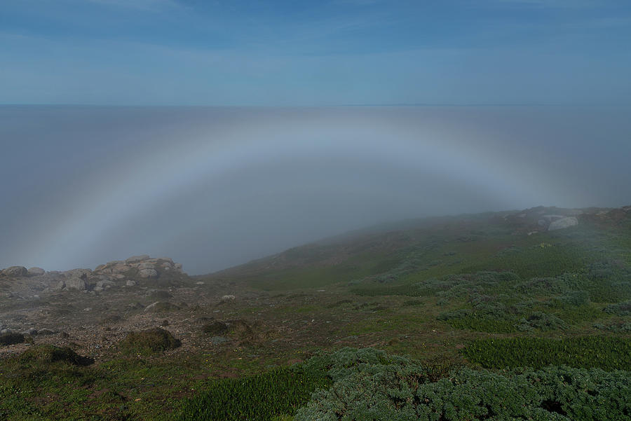 Point Reyes Rainbow in the Fog Photograph by Lynn Thomas Amber