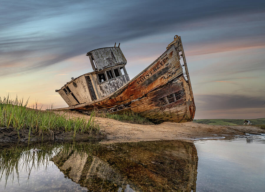 Point Reyes Shipwreck Photograph by John Wilbur Point Reyes Shipwreck Photograph by John Wilbur