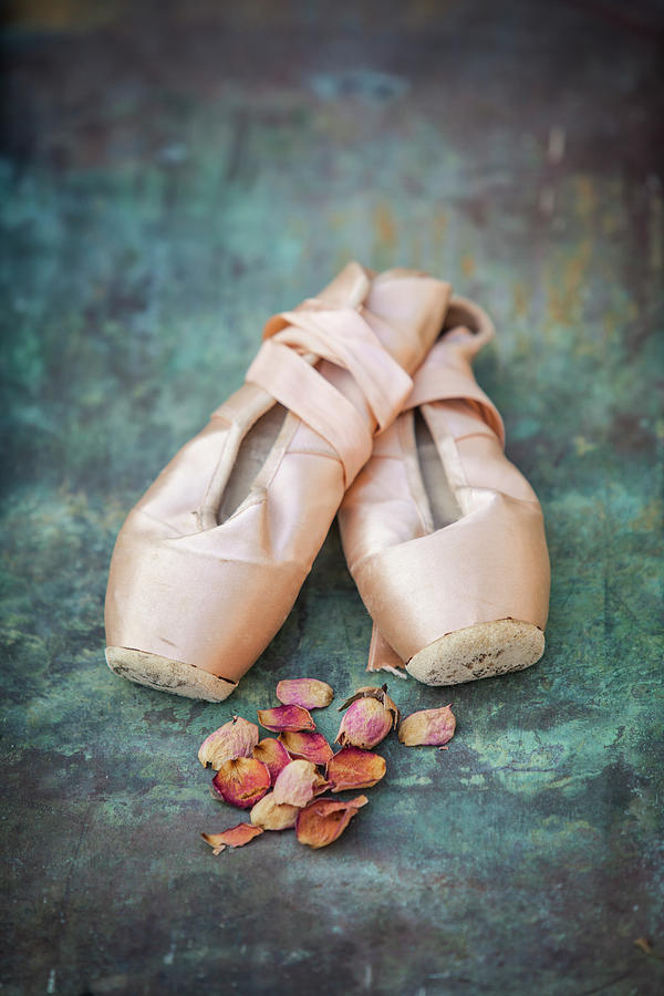 Pointe Shoes Photograph by Maria Heyens