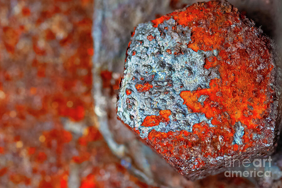 Pointed Patina Photograph by Marilyn Cornwell Pointed Patina Photograph by Marilyn Cornwell