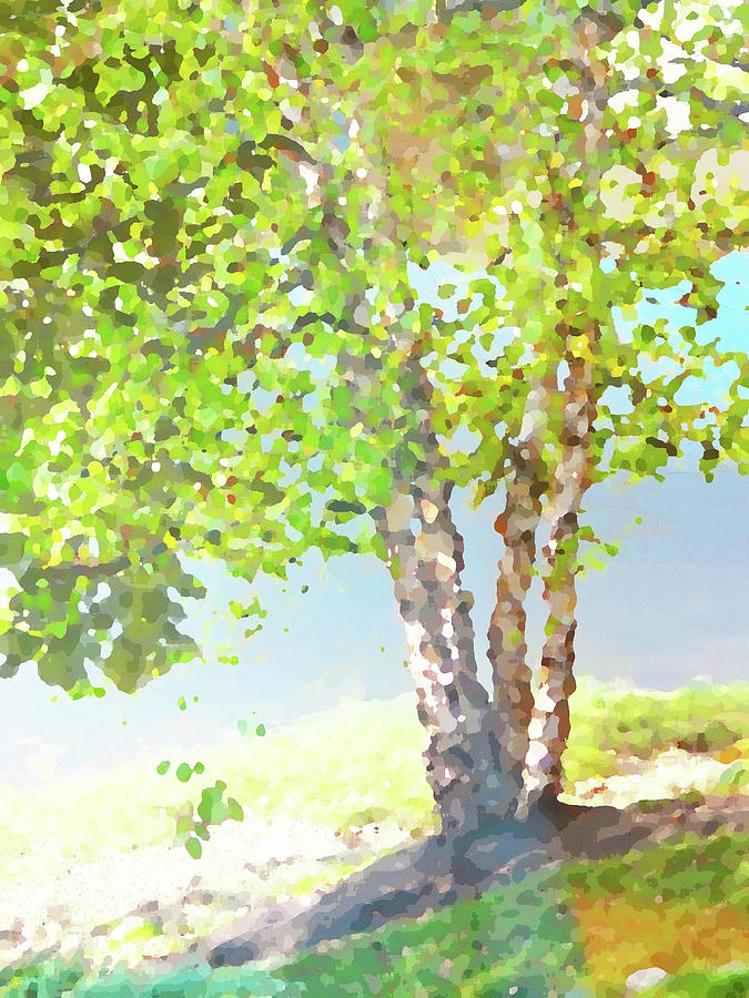 Pointillist Tree Mixed Media by George Harth