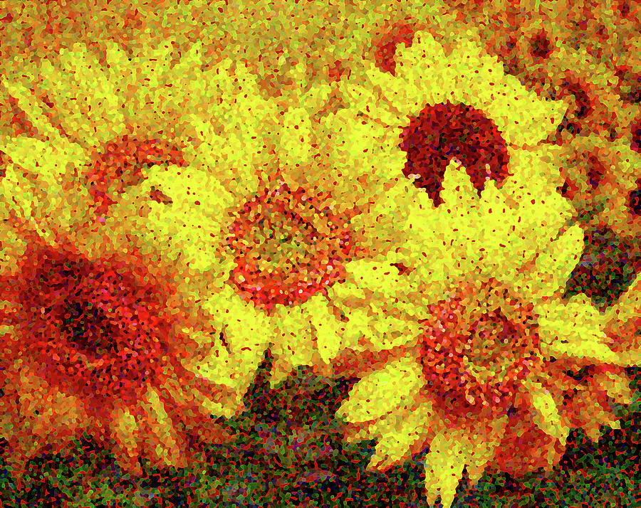 Pointillized Sunflowers Photograph by George Harth