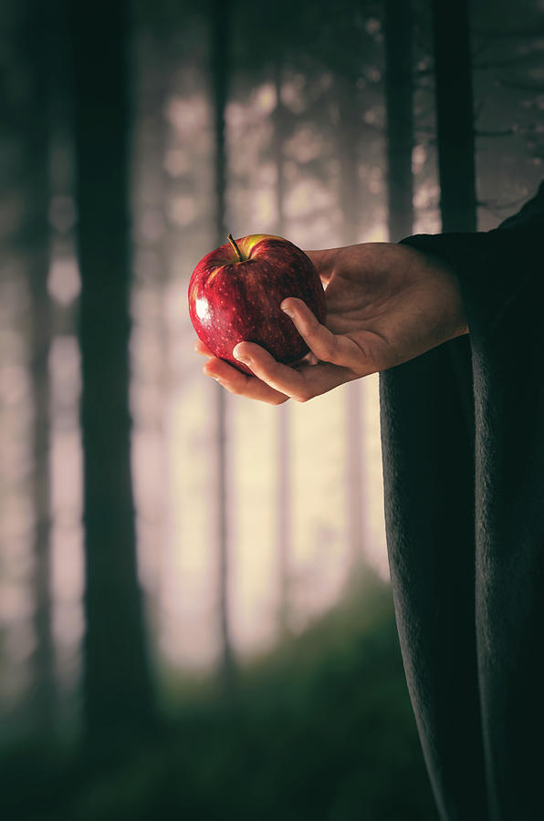 Fairy Photograph - Poison Apple in The Woods by Carlos Caetano