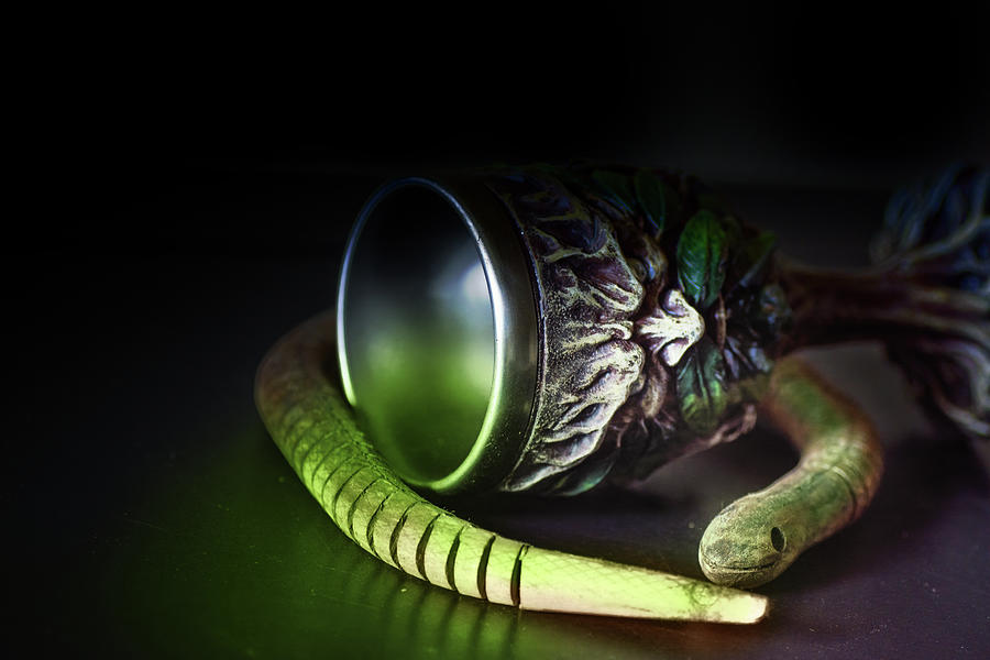 Poison Cup Photograph by Sue Capuano