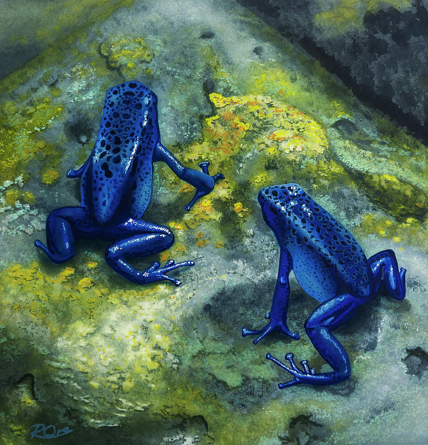 Poison Dart Frogs Painting by Raymond Ore - Fine Art America