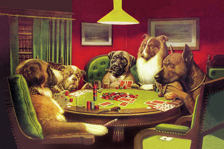 Poker Dogs A Bold Bluff, 1903 Drawing by CM Coolidge