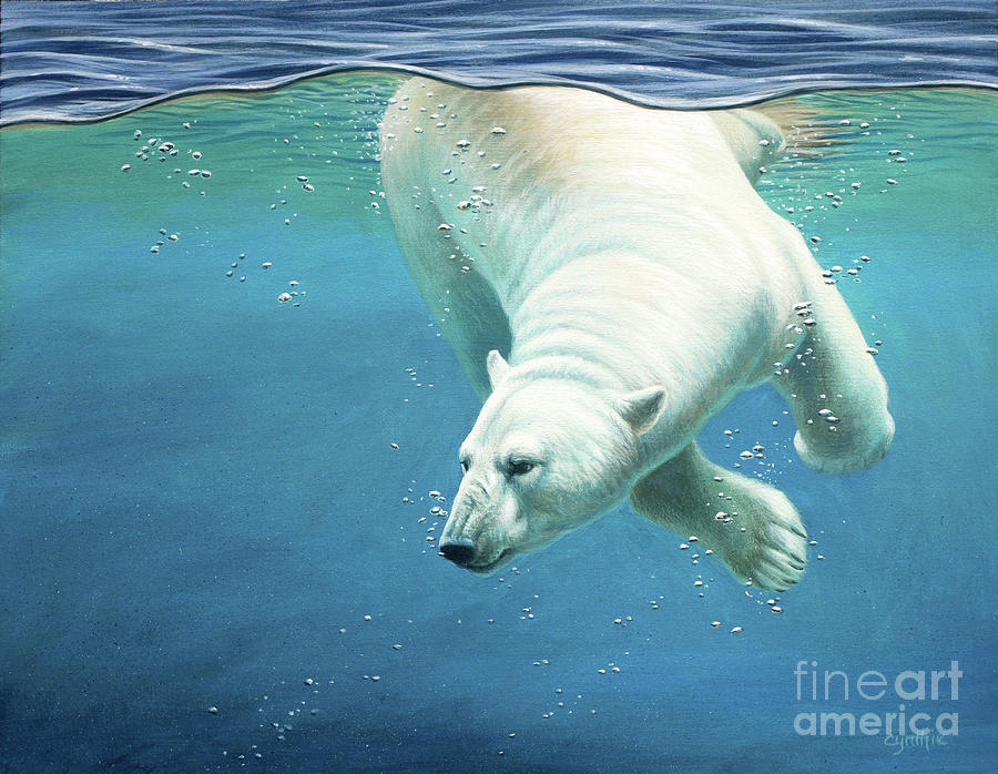 Polar Bear Dive Painting by Cynthie Fisher